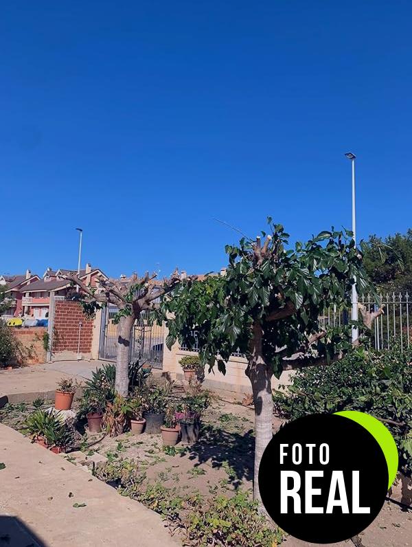 motosierra-bateria-2-en-1-podar-180cm-foto-1
