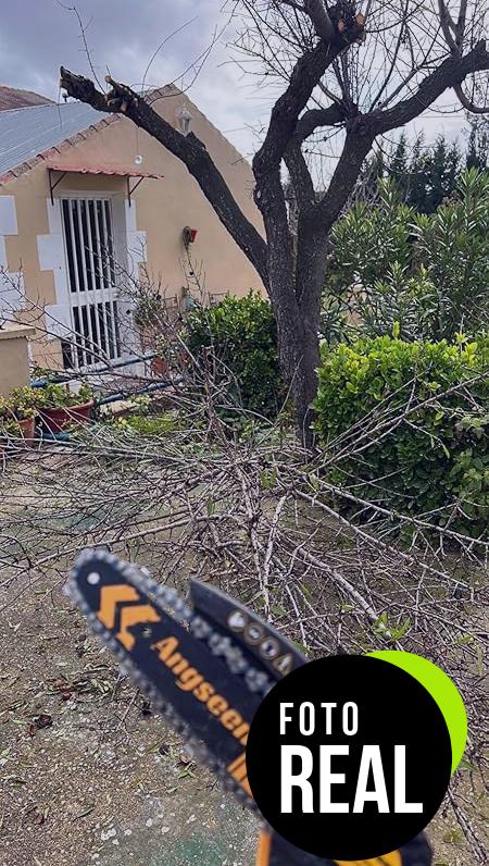 motosierra-mini-bateria-jardin-2-pulgadas-foto-3