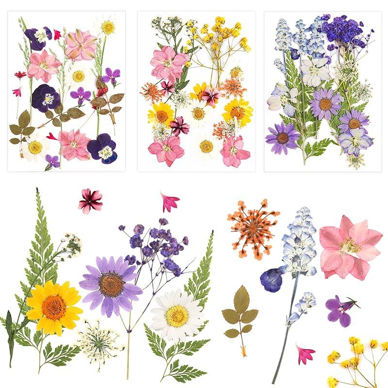 Mi opinión sobre el conjunto de flores secas NVIYAM de 66 piezas.