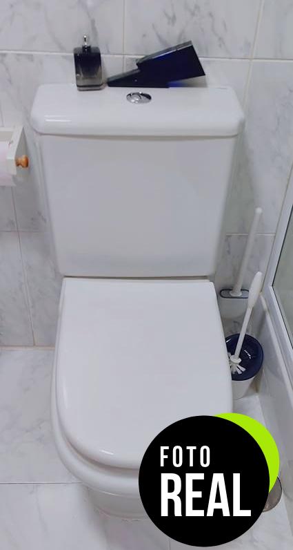 roca-asiento-inodoro-dama-repuesto-a801327004-foto-1