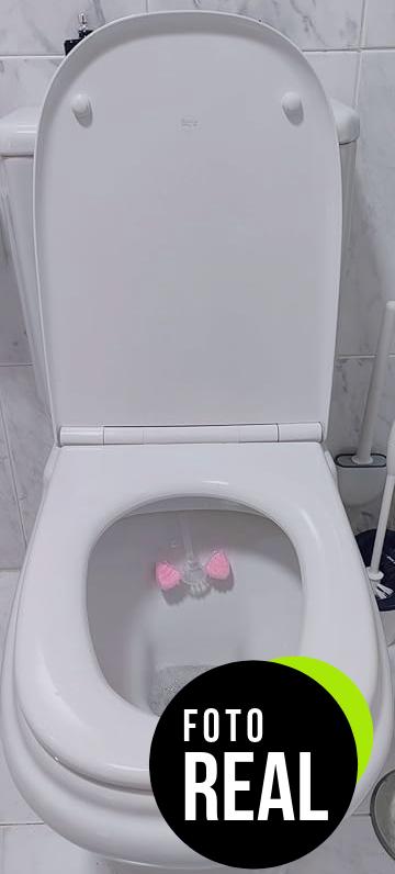 roca-asiento-inodoro-dama-repuesto-a801327004-foto-2
