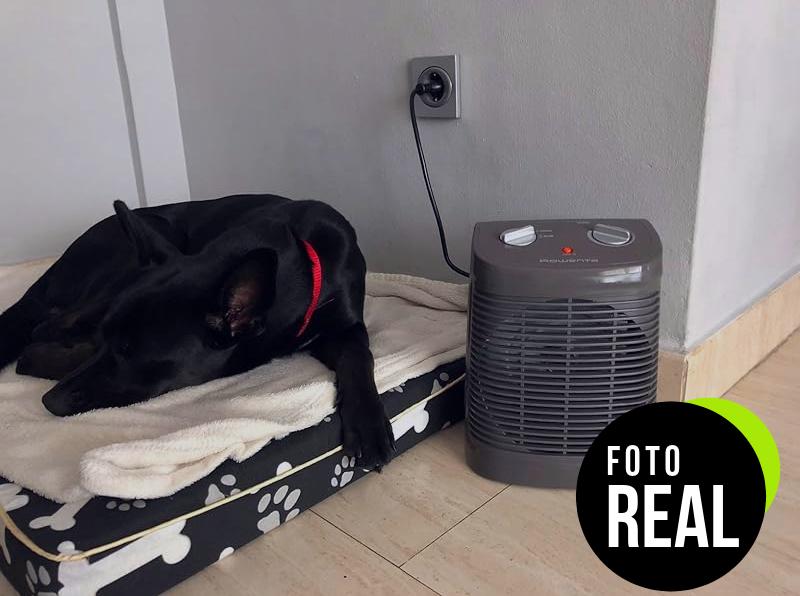 rowenta-calefactor-compacto-so2320-2-velocidades-foto-3